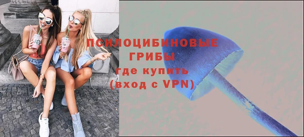 МДПВ Алексеевка