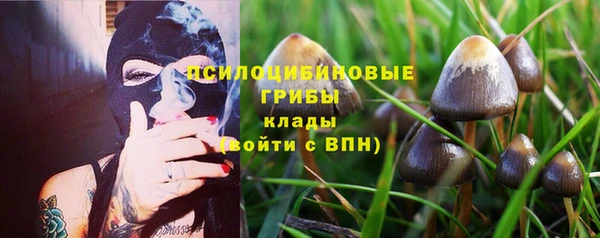 метадон Алзамай